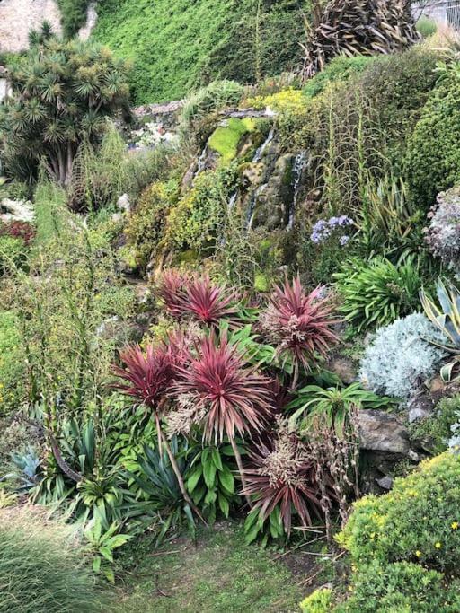 *Stunning* The Botanist Rest Ventnor Iow Βίλα Εξωτερικό φωτογραφία