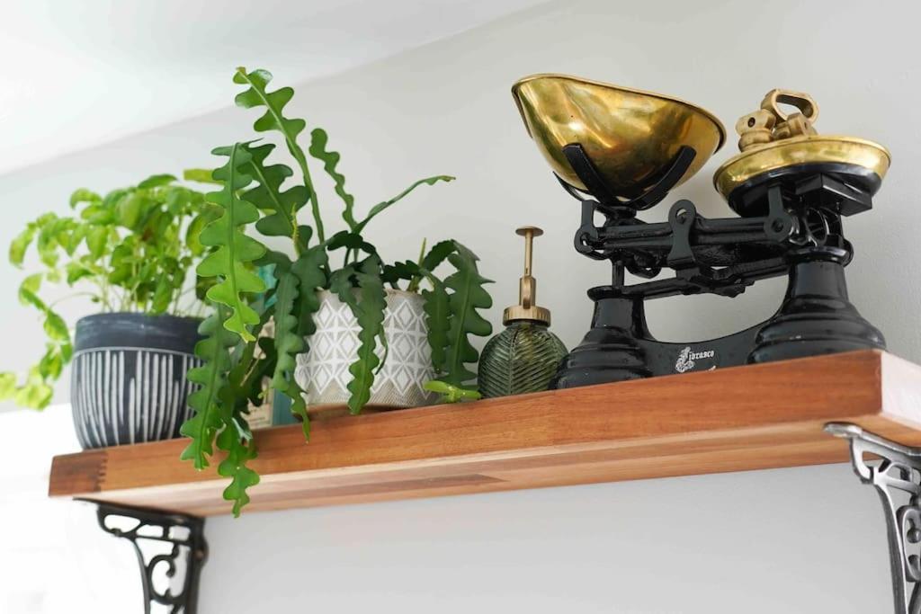*Stunning* The Botanist Rest Ventnor Iow Βίλα Εξωτερικό φωτογραφία
